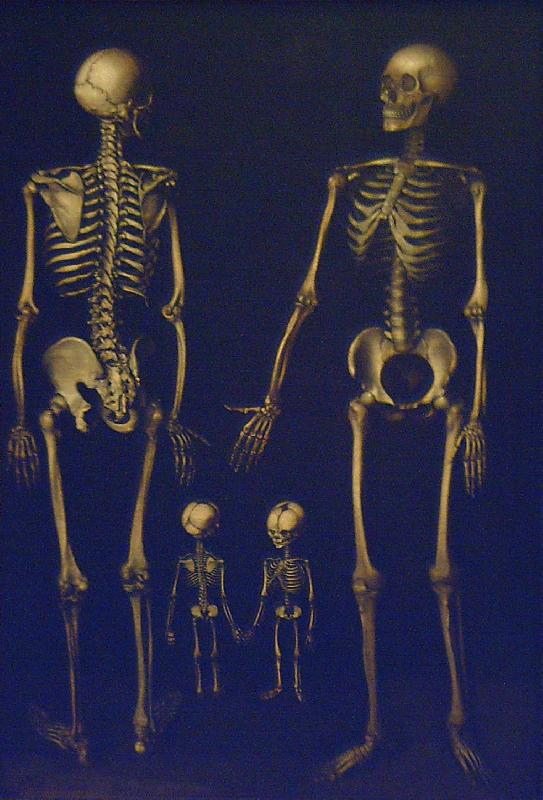 Joseph Esperlin Skeleton Family oil painting picture
